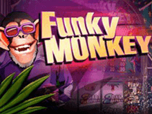 Funky Monkey